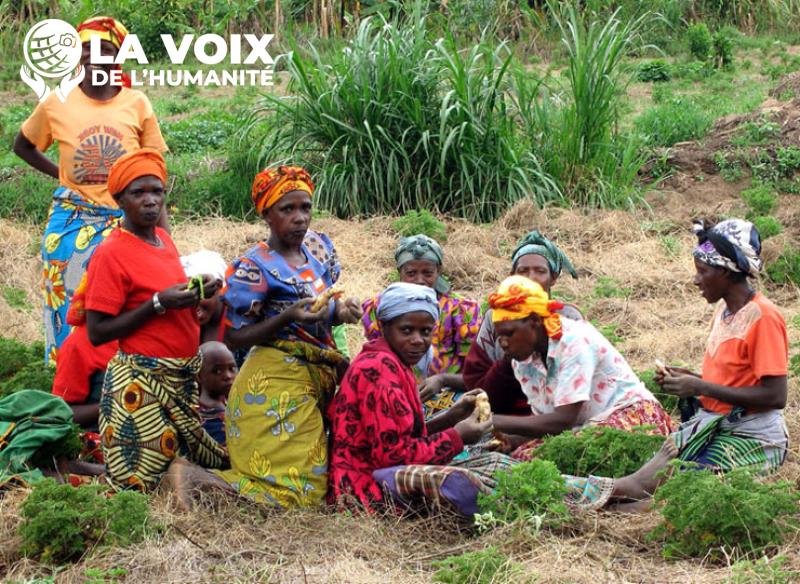 Kalehe : plus de 4.800 femmes sinistrées de Bushushu et Nyamukubi vivent dans une extrême précarité