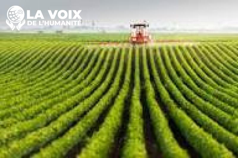 RDC : les langues maternelles promues pour renforcer la vulgarisation des connaissances agricoles